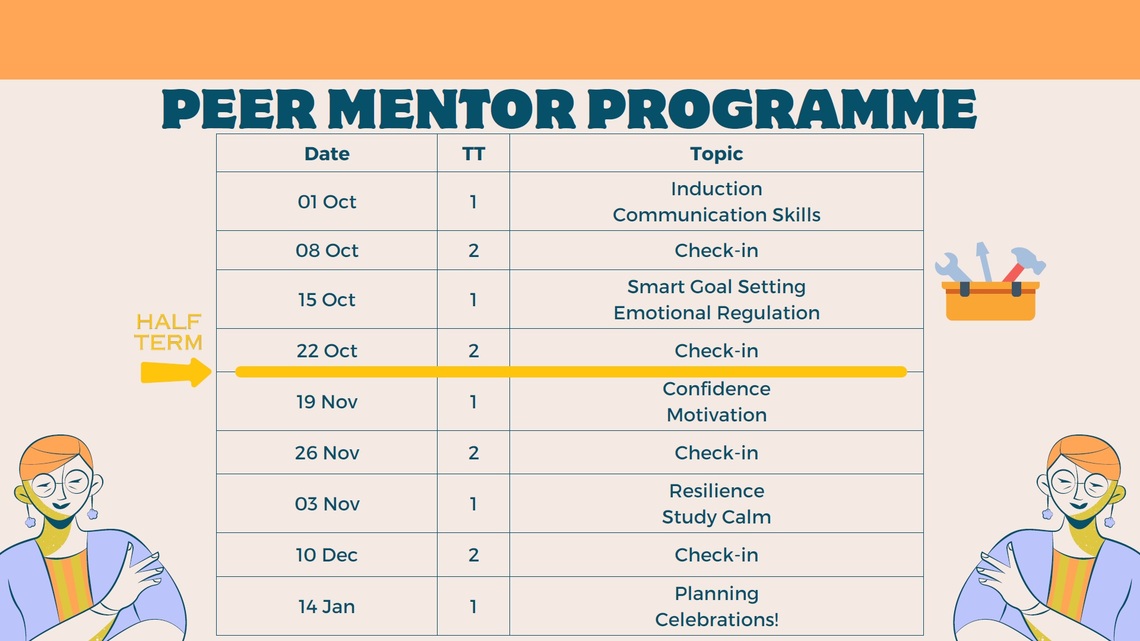 example peer mentoring programme